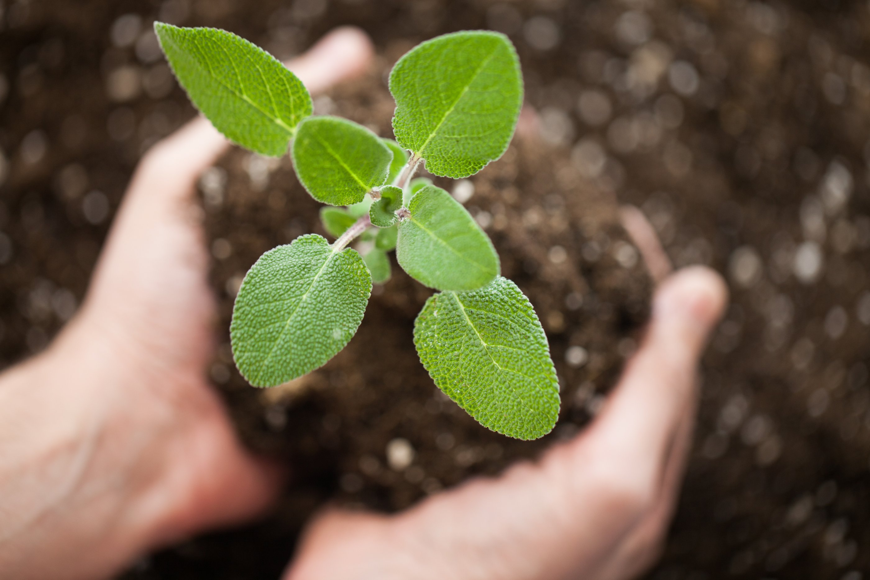 lightstock_319896_download_medium_april_box_